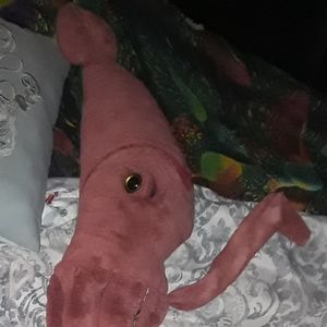 Meet your Posher, Squiddy